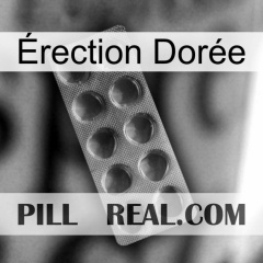 Érection Dorée 30